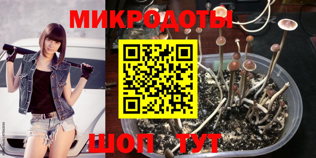 Псилоцибиновые грибы мицелий  Вход с VPN  Домодедово 