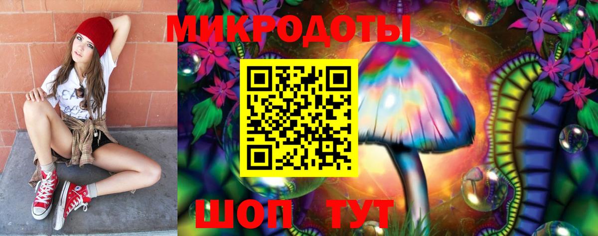 Галлюциногенные грибы Psilocybine cubensis Домодедово